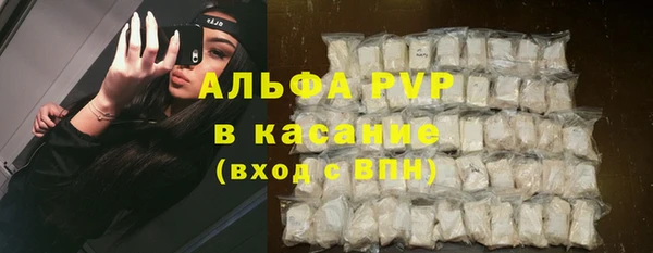 СК Алзамай