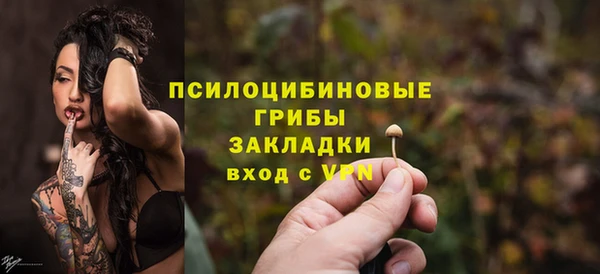 МДПВ Алексин