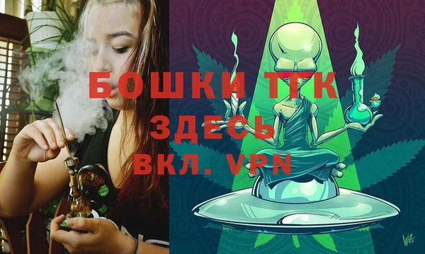 МДПВ Алексин