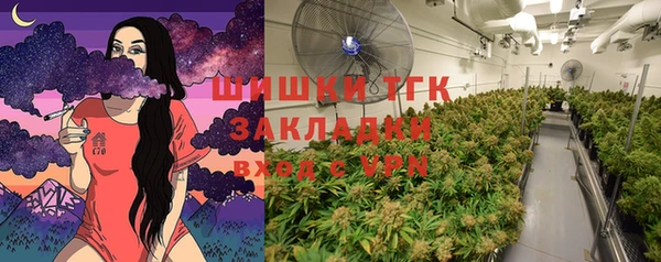 PSILOCYBIN Алексеевка