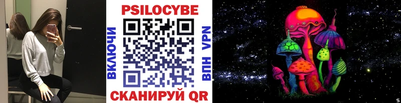 купить  сайты  Махачкала  KRAKEN как войти  Псилоцибиновые грибы прущие грибы 